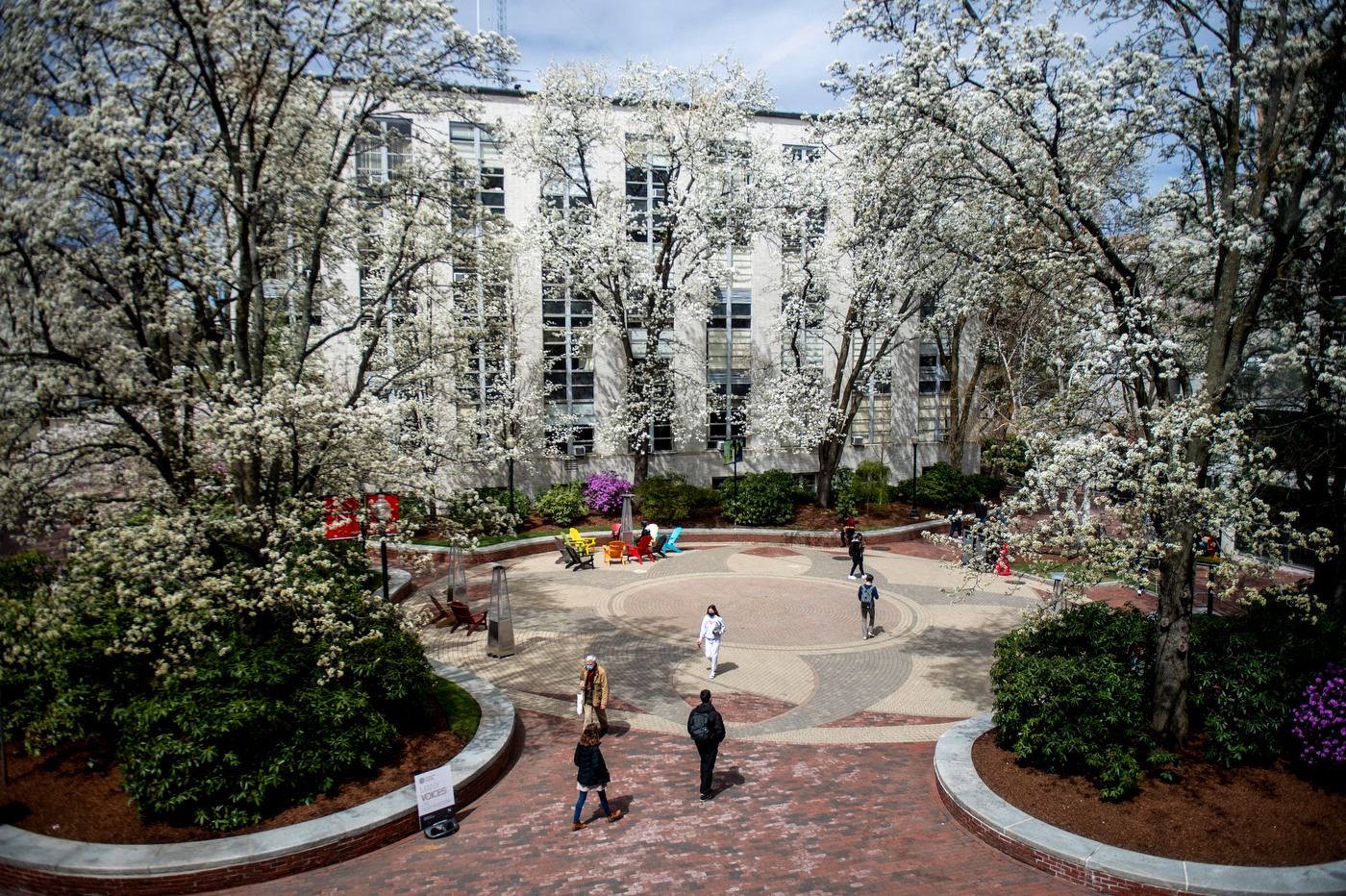 Visiting Northeastern: An Insider's Guide